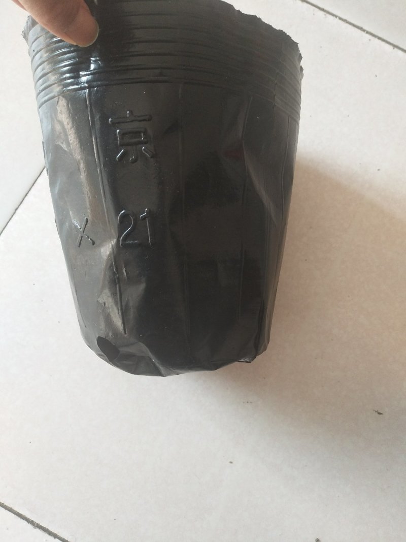营养钵营养杯育苗杯仿瓷塑料花盆营养钵
