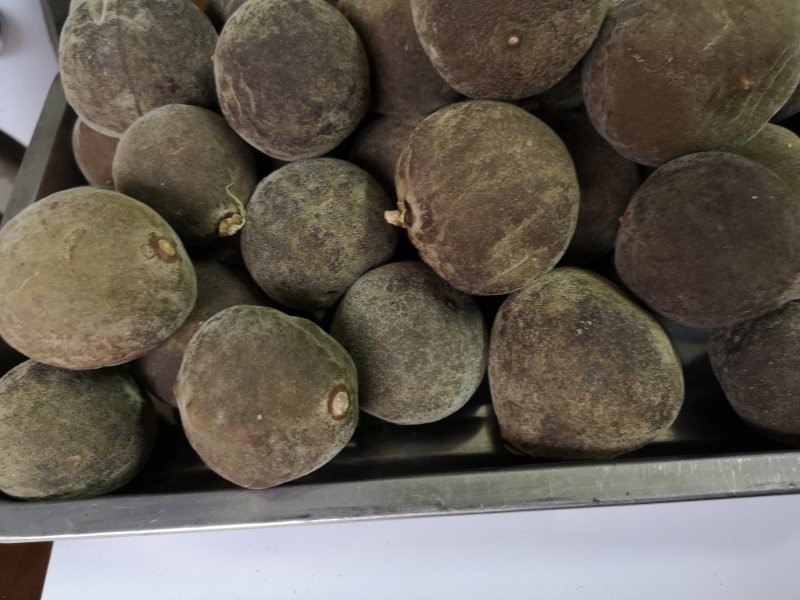 化州橘红果正宗化州橘红果