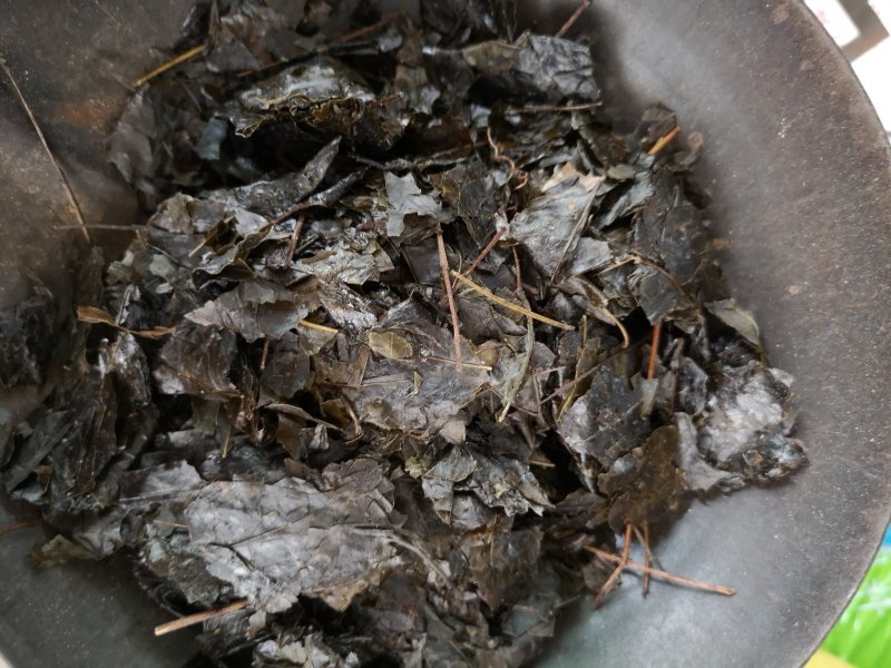毛冬青中药毛冬青苦丁茶大叶苦丁茶散装批发
