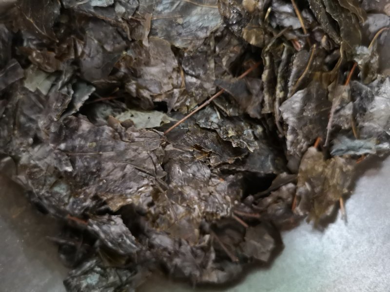 毛冬青中药毛冬青苦丁茶大叶苦丁茶散装批发