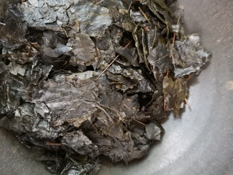 毛冬青中药毛冬青苦丁茶大叶苦丁茶散装批发