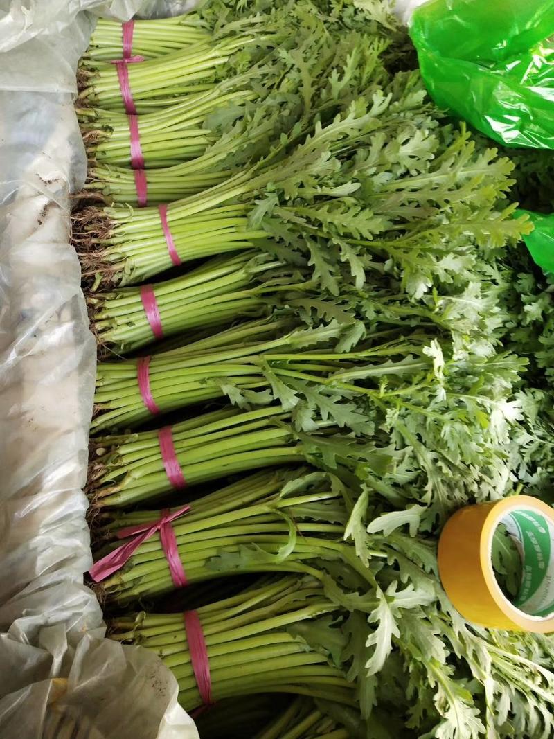 河北省邯郸市丛台区联帮蔬菜批发市场全年供应各种精品茼蒿