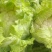 白花菜散装