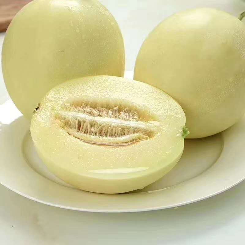 甜瓜