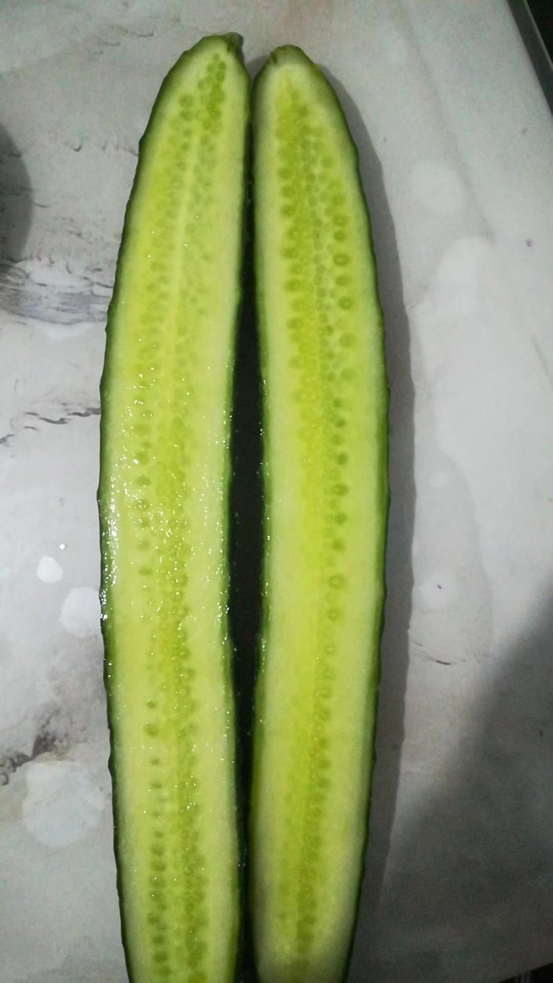 大棚黄密刺黄瓜大量供货中，视频看货，质量保证各种包装齐全