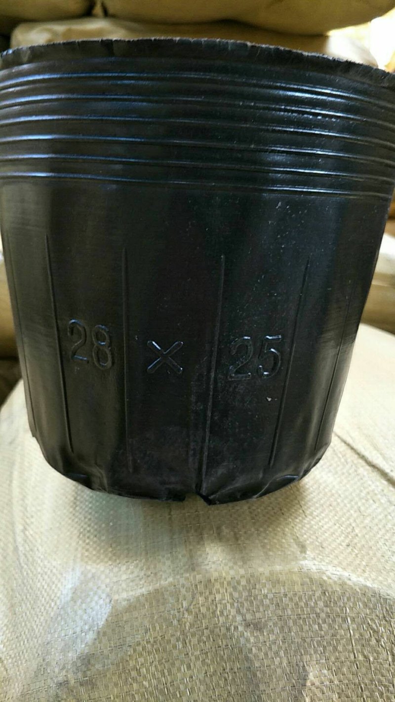 育苗器营养钵树苗杯各种型号育苗营养钵