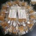 新鲜虫草0.6克32元一条10条起