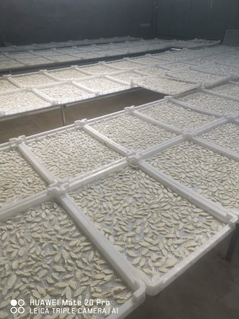 河南焦作温县古怀庆府垆土铁棍山药片中草药材药食同怀山药片