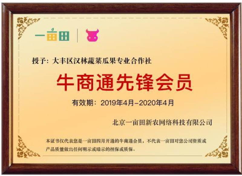 蒜苔白帽蒜苔自家生意价格便宜质量上乘