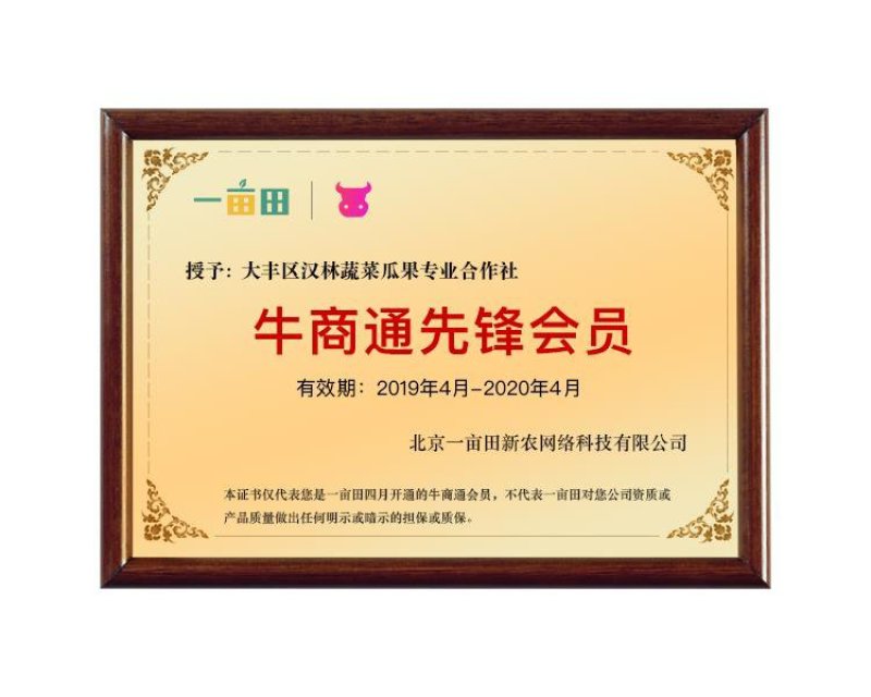 蒜苔白帽蒜苔全国发货诚信代办量大从优