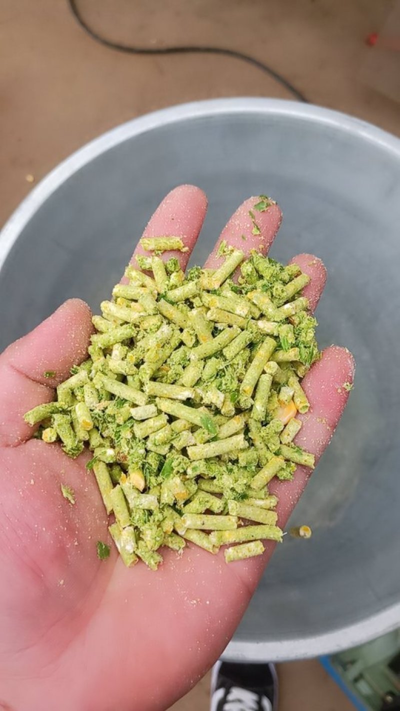 150型饲料颗粒机