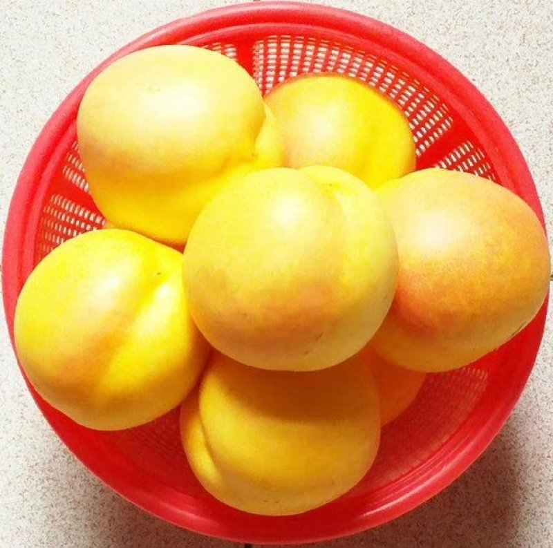 蒙阴蜜桃