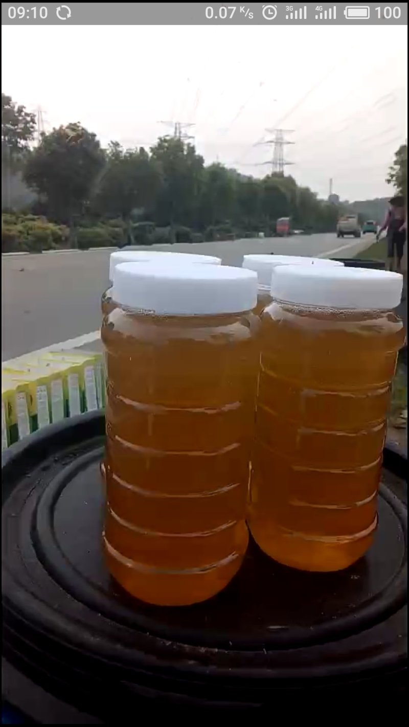 新鲜荔枝蜜