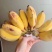 苹果香蕉，，，，，，，，，，，，，，，，，，，
