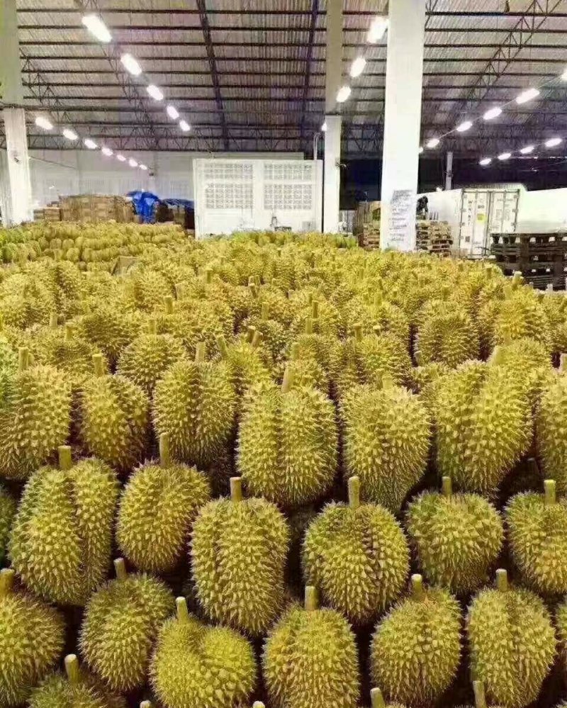榴莲