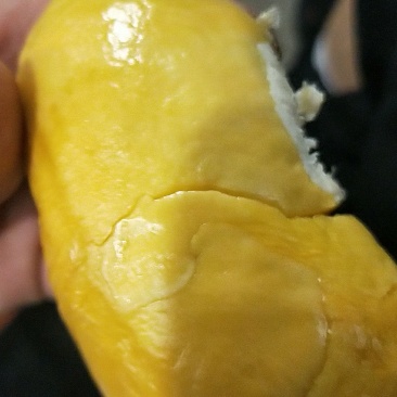 榴莲
