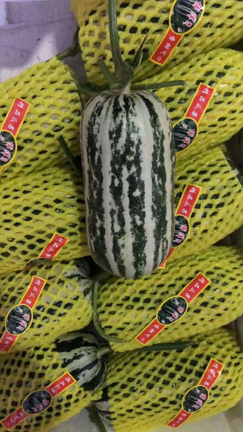 西瓜甜瓜