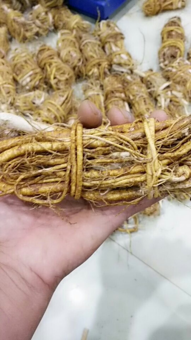 五指毛桃种子