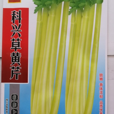 草黄芹种子二黄芹种子(科兴草黄芹)10g/袋