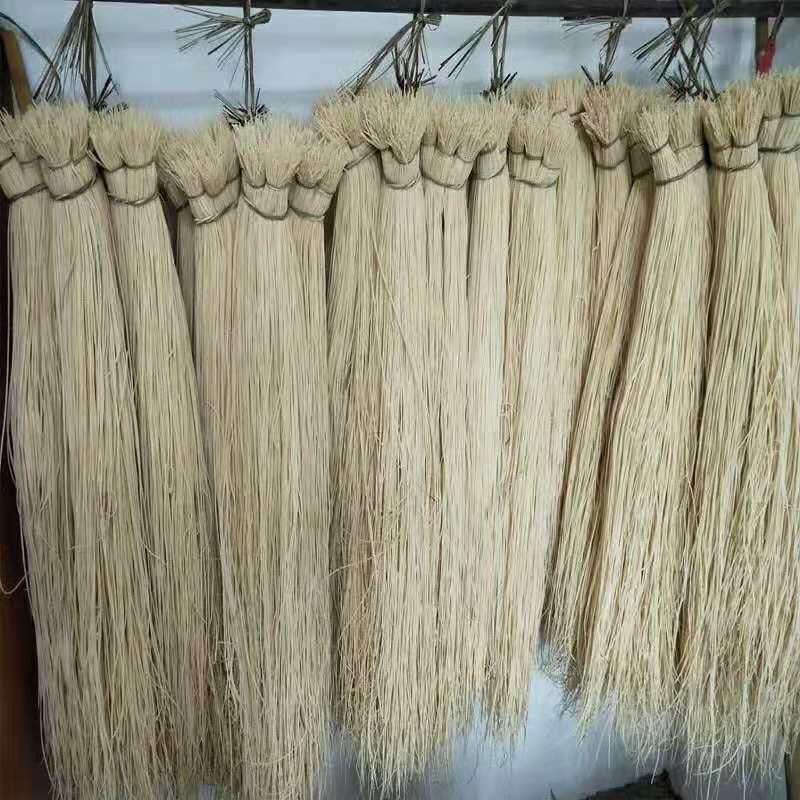 灯心草全国最大万亩灯心草基地.