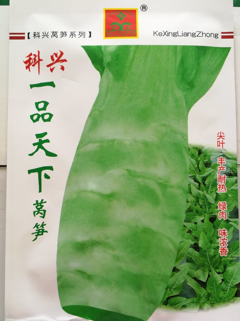 耐热尖叶薄皮莴笋种子（科兴一品天下）12g/袋