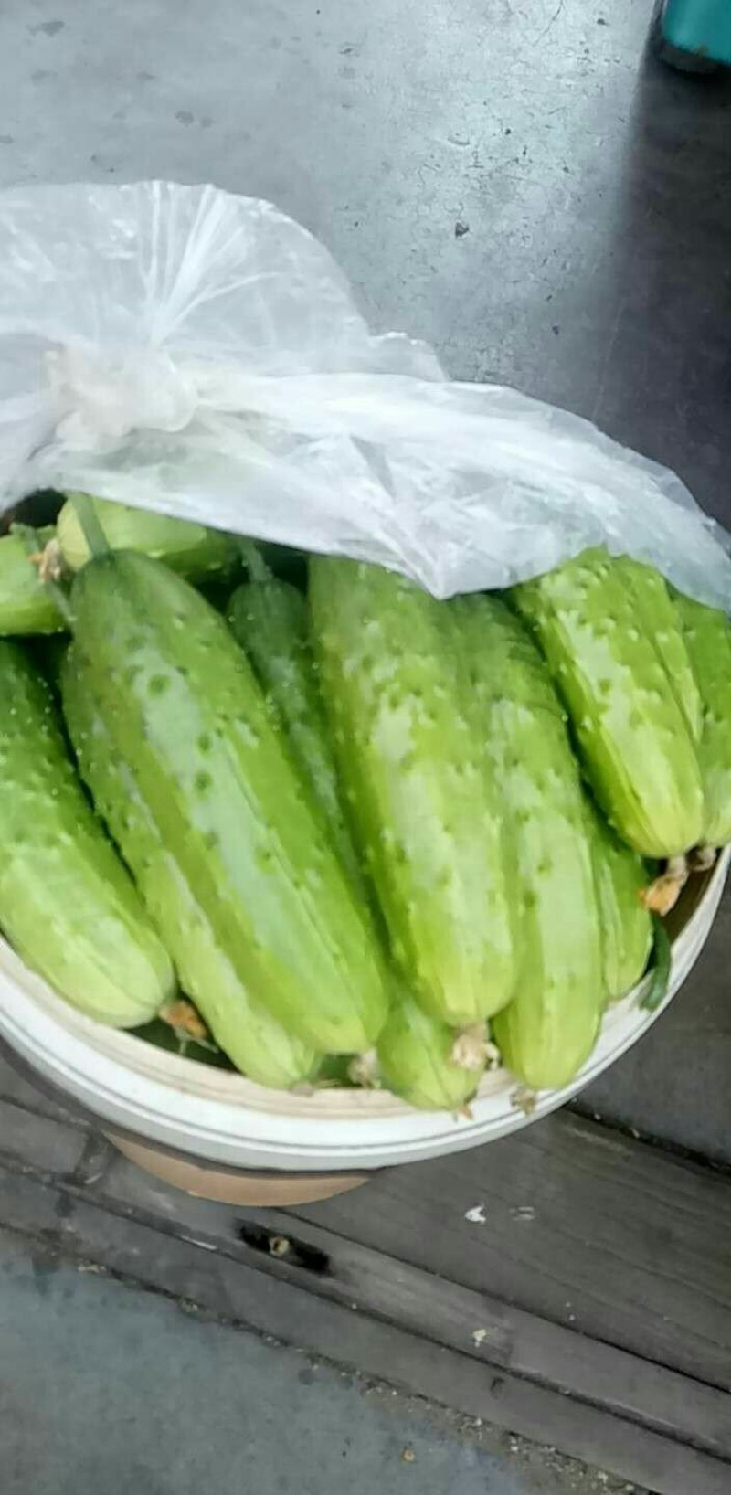 旱黄瓜，大刺黄皮，油亮干花，质量保证，信誉第一可供商超，