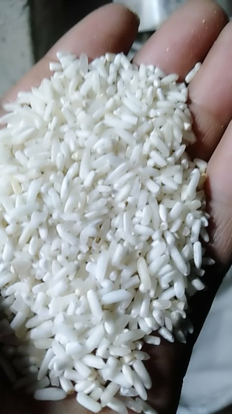 色选白米