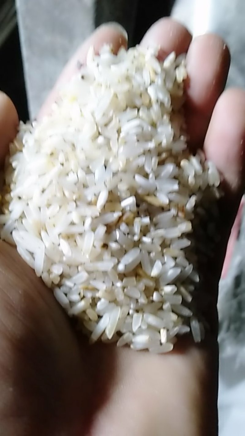 色选黄米