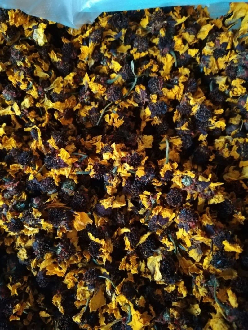 【自采自销】昆仑雪菊精品克里阳雪菊，一手货源