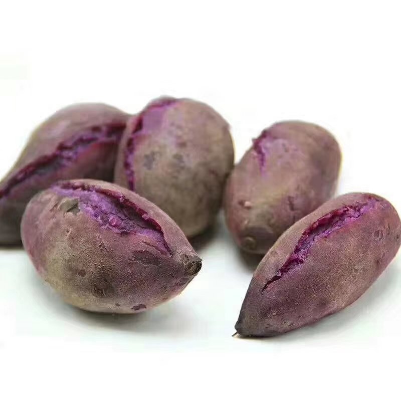 越南迷你小紫薯