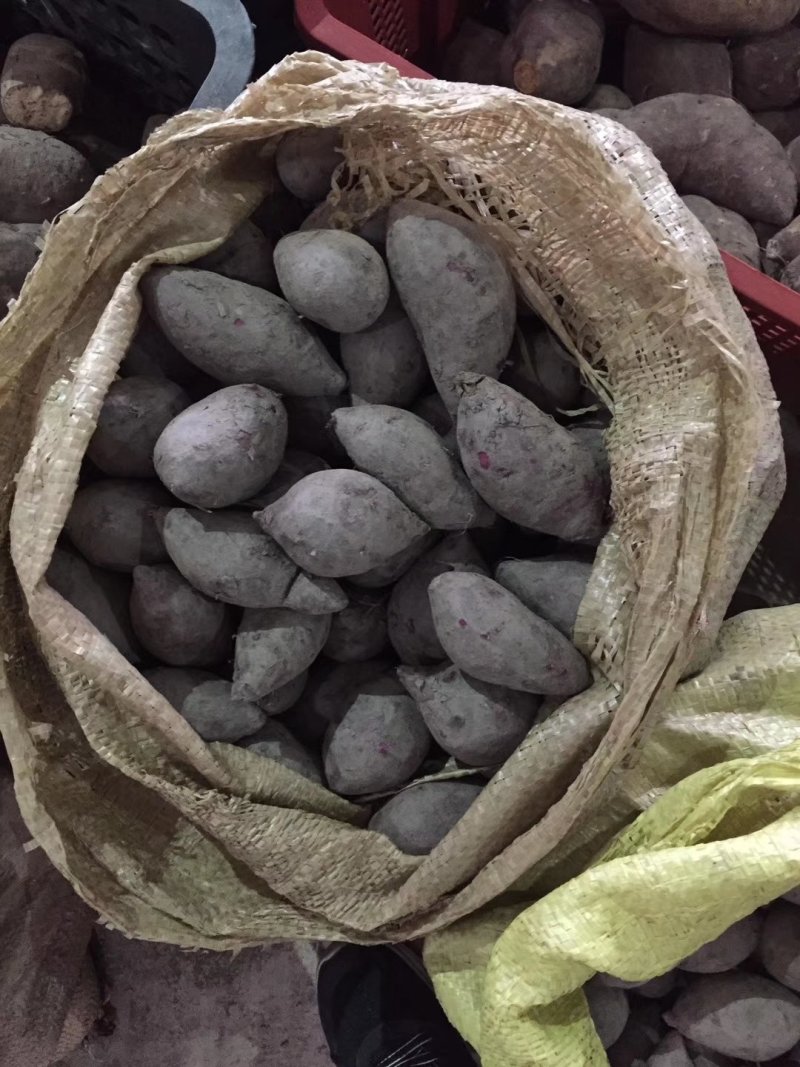 越南迷你小紫薯