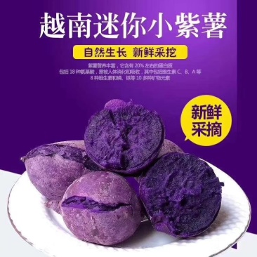 越南迷你小紫薯