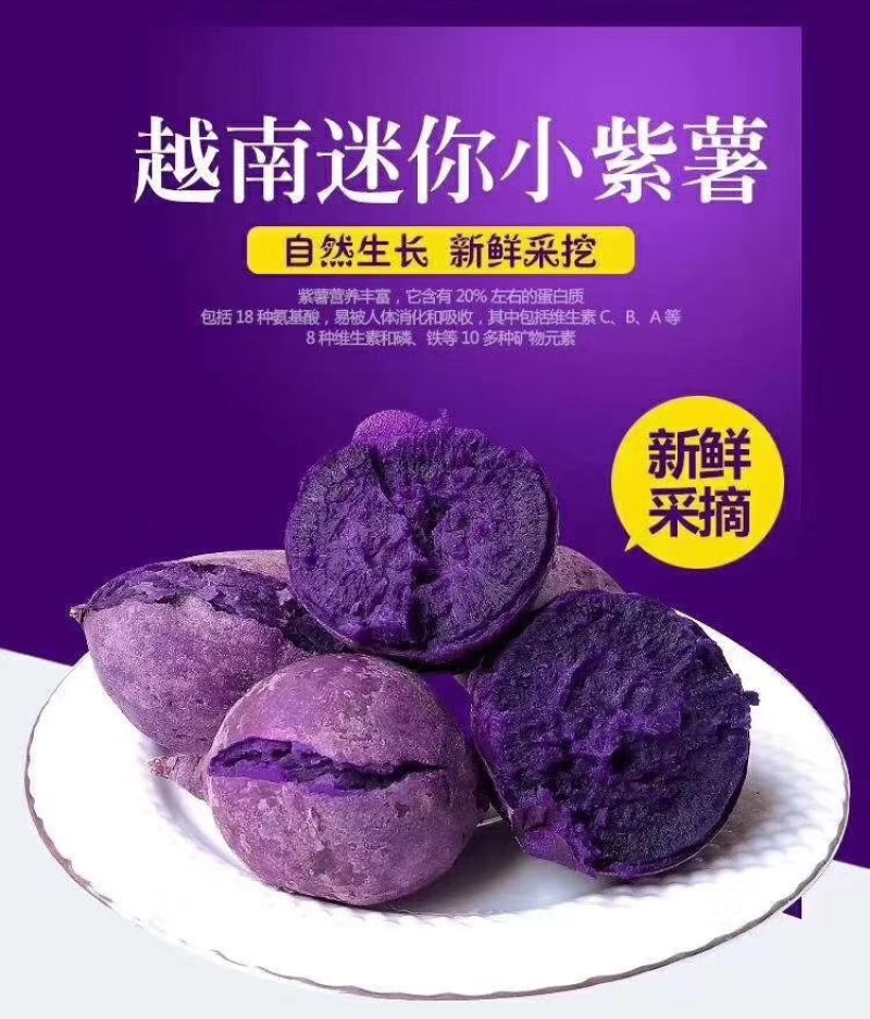 越南迷你小紫薯