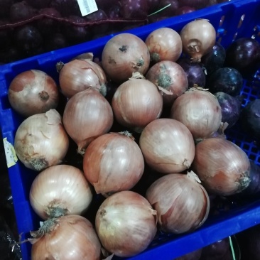 黄洋葱