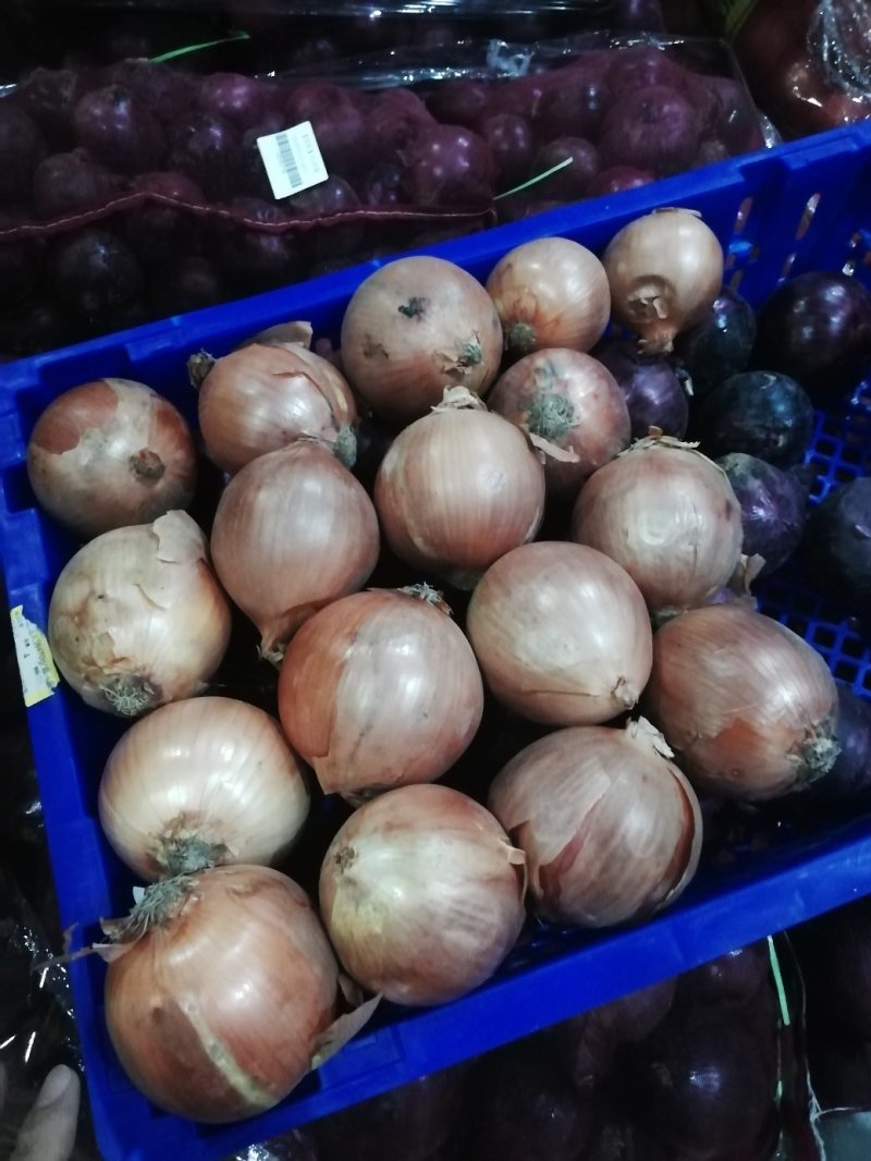 黄洋葱