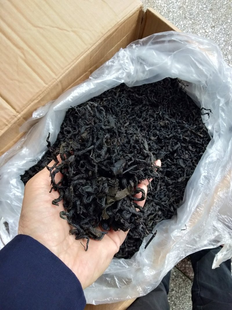 野生杜仲茶