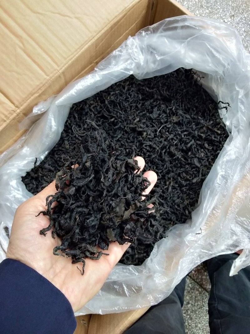 野生杜仲茶