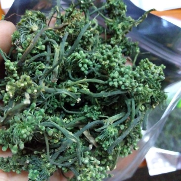 人参花，