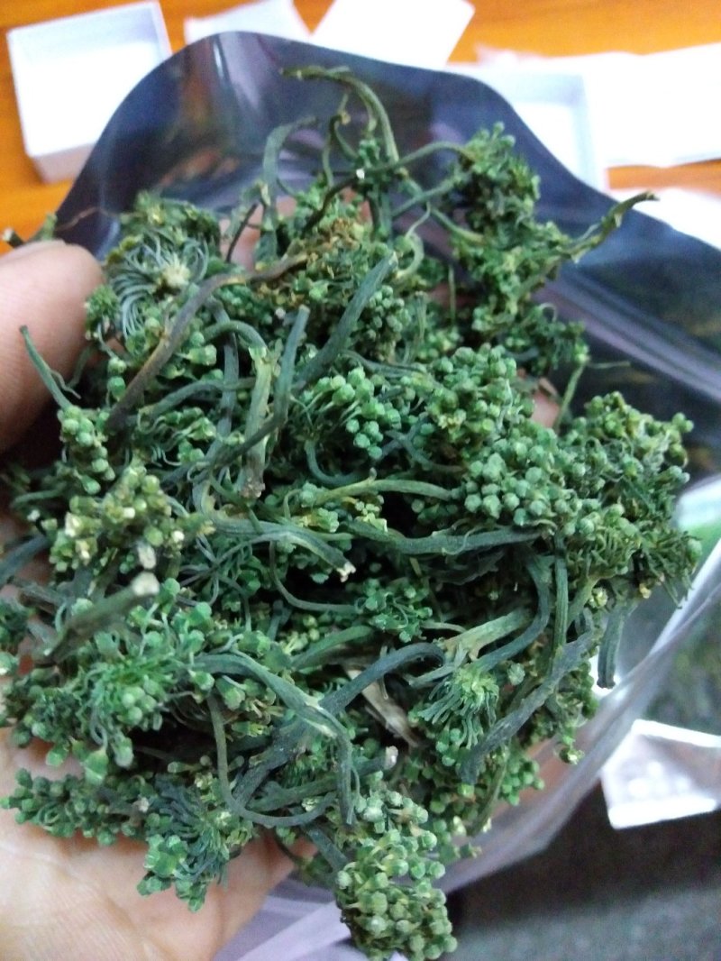 人参花，