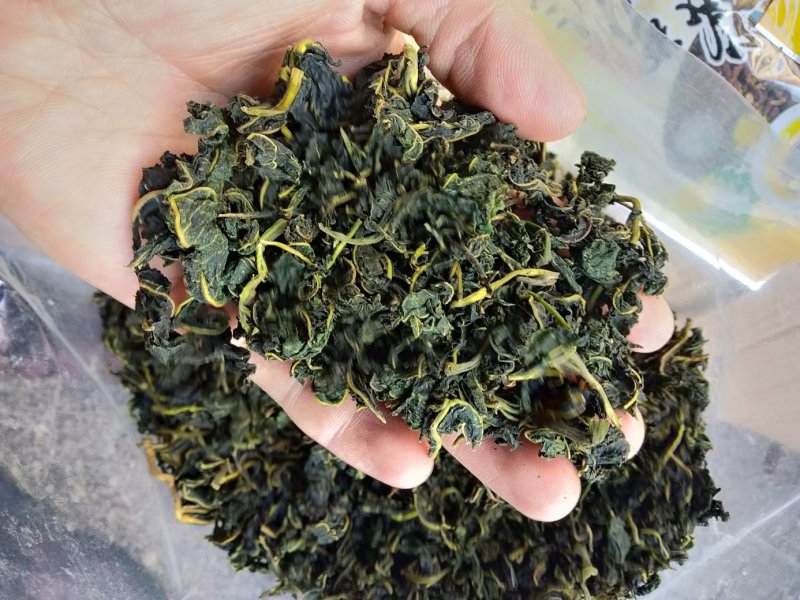 农家野生桑叶茶