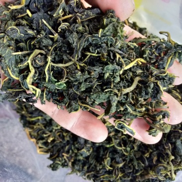 农家野生桑叶茶