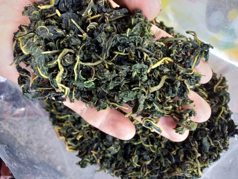 农家野生桑叶茶