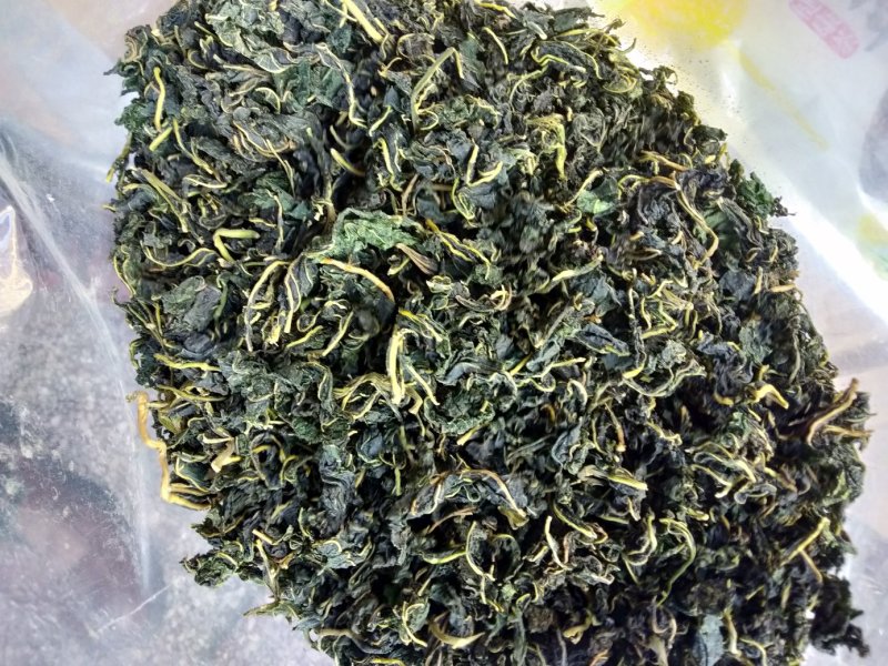 农家野生桑叶茶