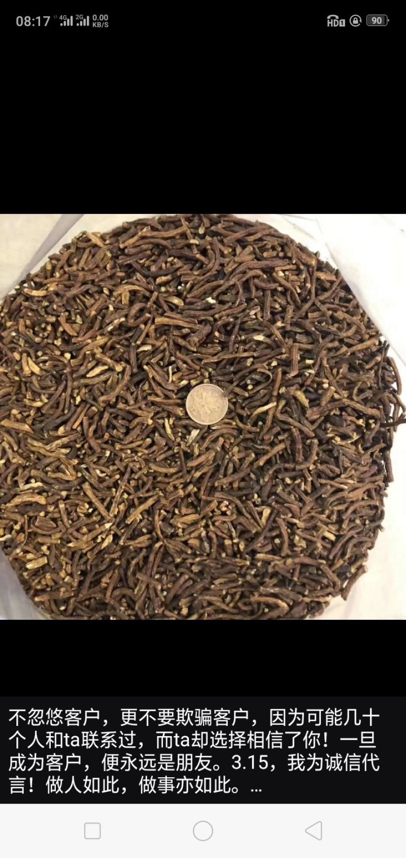 蒲公英根茶