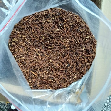 蒲公英根茶