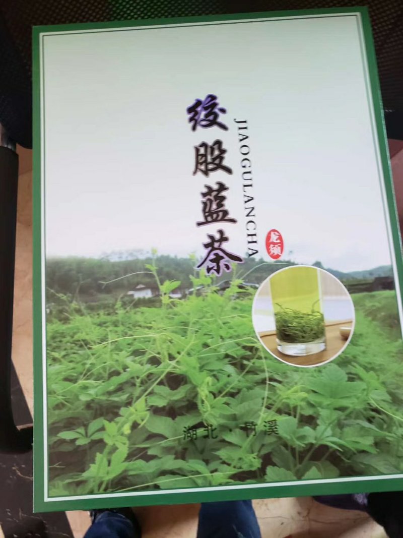 绞股蓝茶