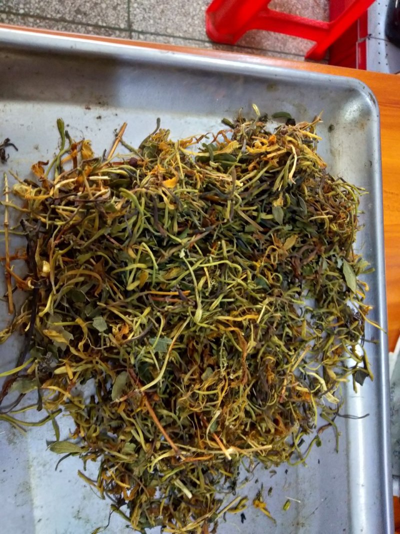 野生金银花