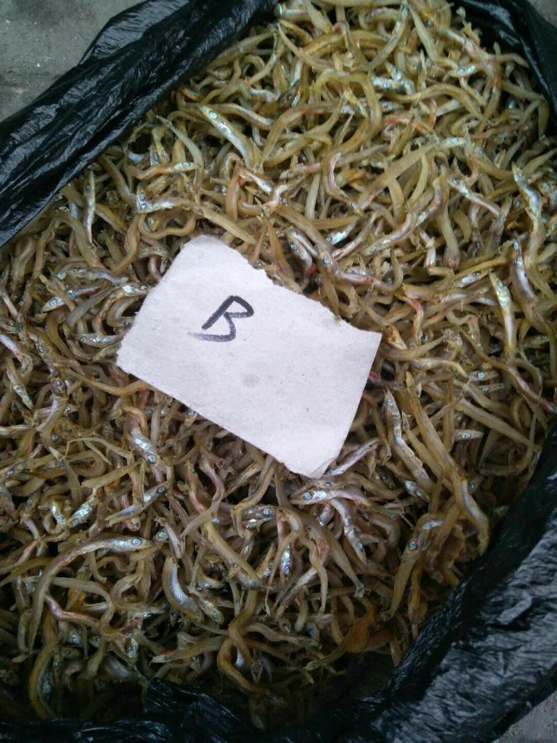 纯野生江鲤鱼，江刀鱼！