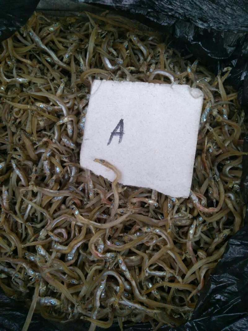 纯野生江鲤鱼，江刀鱼！