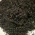 诏安乌龙八仙茶，高山茶叶茶香浓耐泡员工茶农场茶园